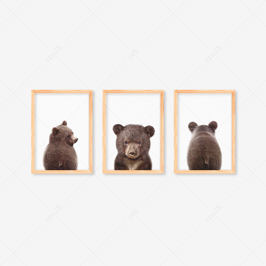 Shop Primary Image